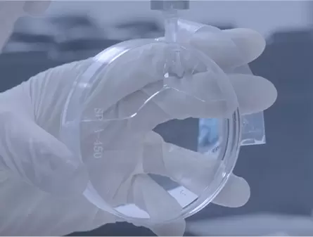 Optical Lenses